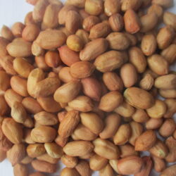 Peanuts