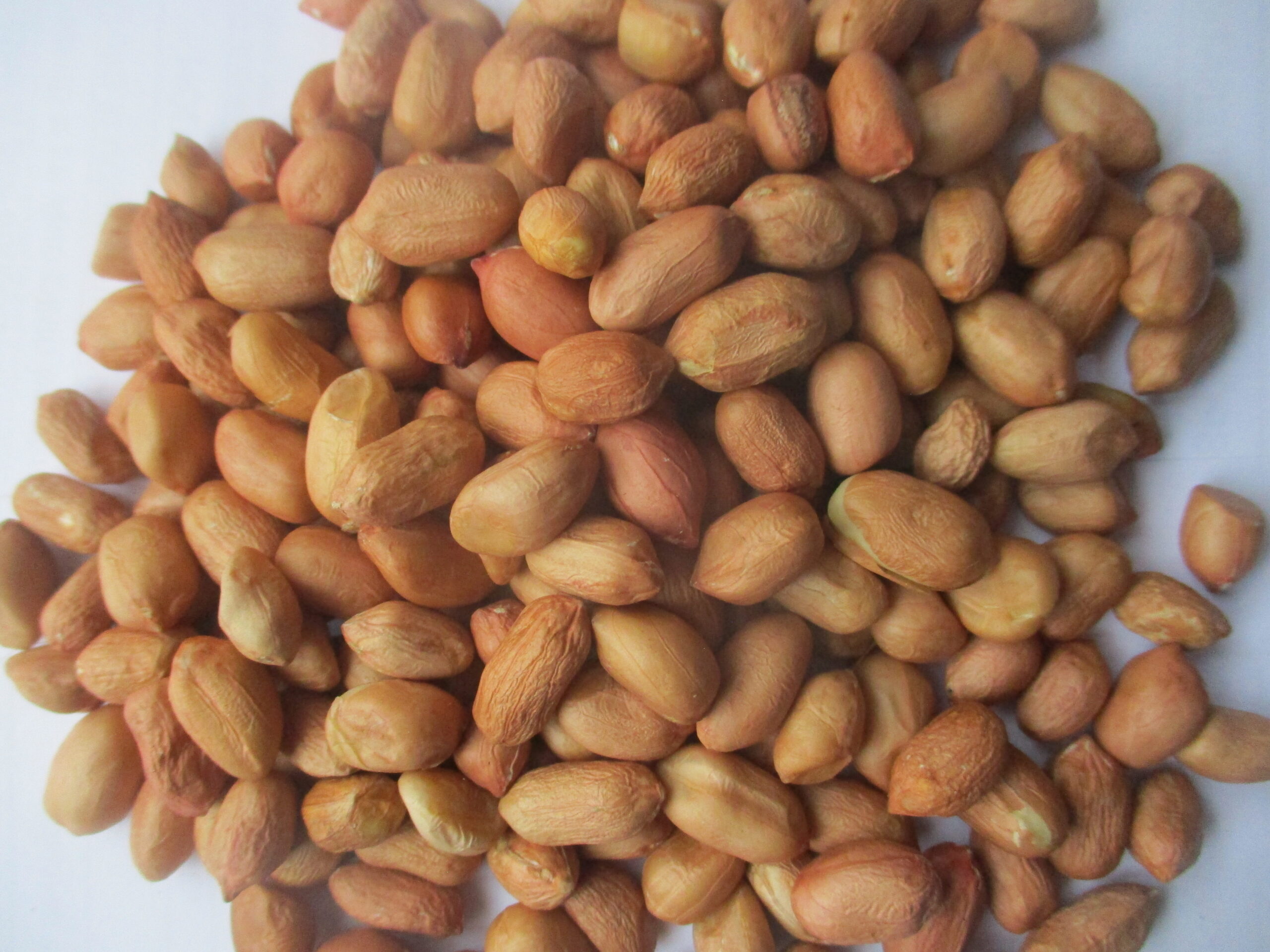 Peanuts