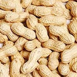 In-shell Peanuts